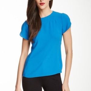 Ted Baker Blue Chiffon Short Sleeve Sweetheart Top